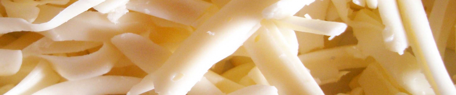 queso rallado, queso para pizza, queso para hosteleria, queso para pasteleria, rellenos de queso